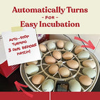Harris Farms Nurture Right Egg Incubator for Hatching Chicks - Holds 22 Eggs