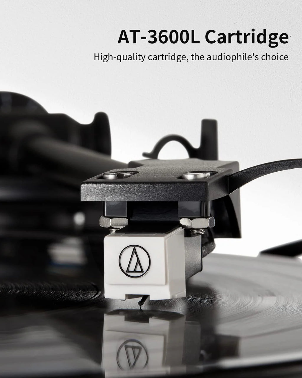 ANGELS HORN Vinyl Record Player Built in Speakers