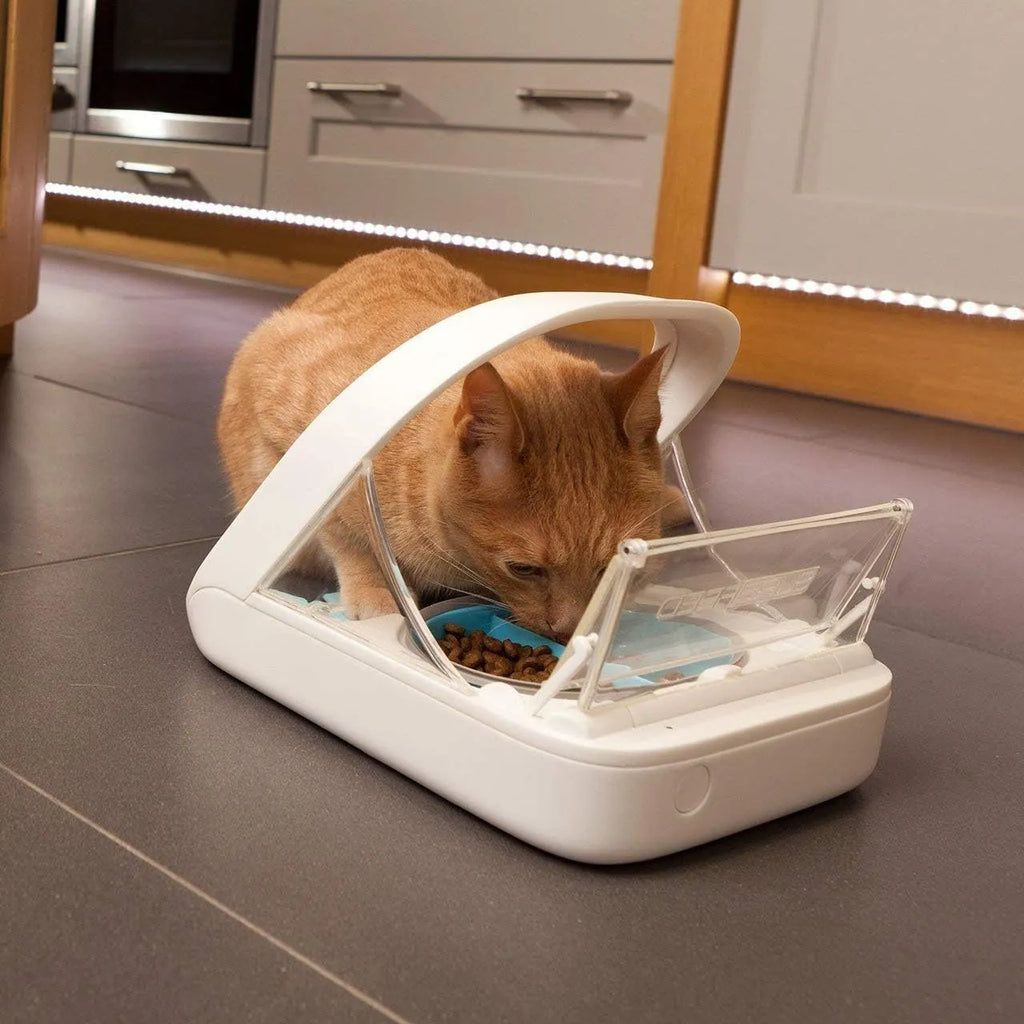 Automatic Pet Feeder -Microchip Pet Feeder - MPF001 - Suitable for Both Wet and Dry Food - Bonus eOutletDeals Pet Towel