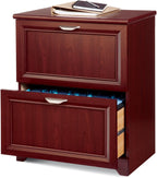 Realspace? Magellan 23-1/2"W x 16-9/16"D Lateral 2-Drawer File Cabinet, Classic Cherry