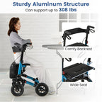 2-in-1 Folding Rolling Rollator Walker with Seat, 9" All-Terrain Pneumatic Tires & Height Adjustment, Aluminum Mobility Walking Aid for Seniors