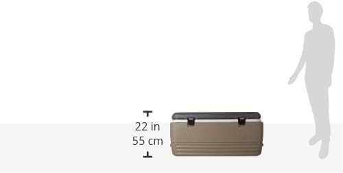 Polar Hard Coolers