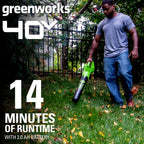 40V 350 CFM Leaf Blower With 2.0 Ah Battery, 2412002