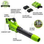 48V Axial Blower with 2 (24V) 2 Ah USB Batteries