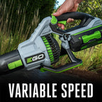 EGO POWER+ Leaf Blower  Cordless Electric 765 CFM  Includes 56V 5.0Ah Battery and Charger - LB7654