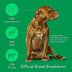 Dna My Dog Essential Test �?Breed ID Test Mixed Breed Identification Personality Traits for Puppies to Adult Dogs Non-Invasive Cheek Swab