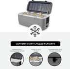 Polar Hard Coolers