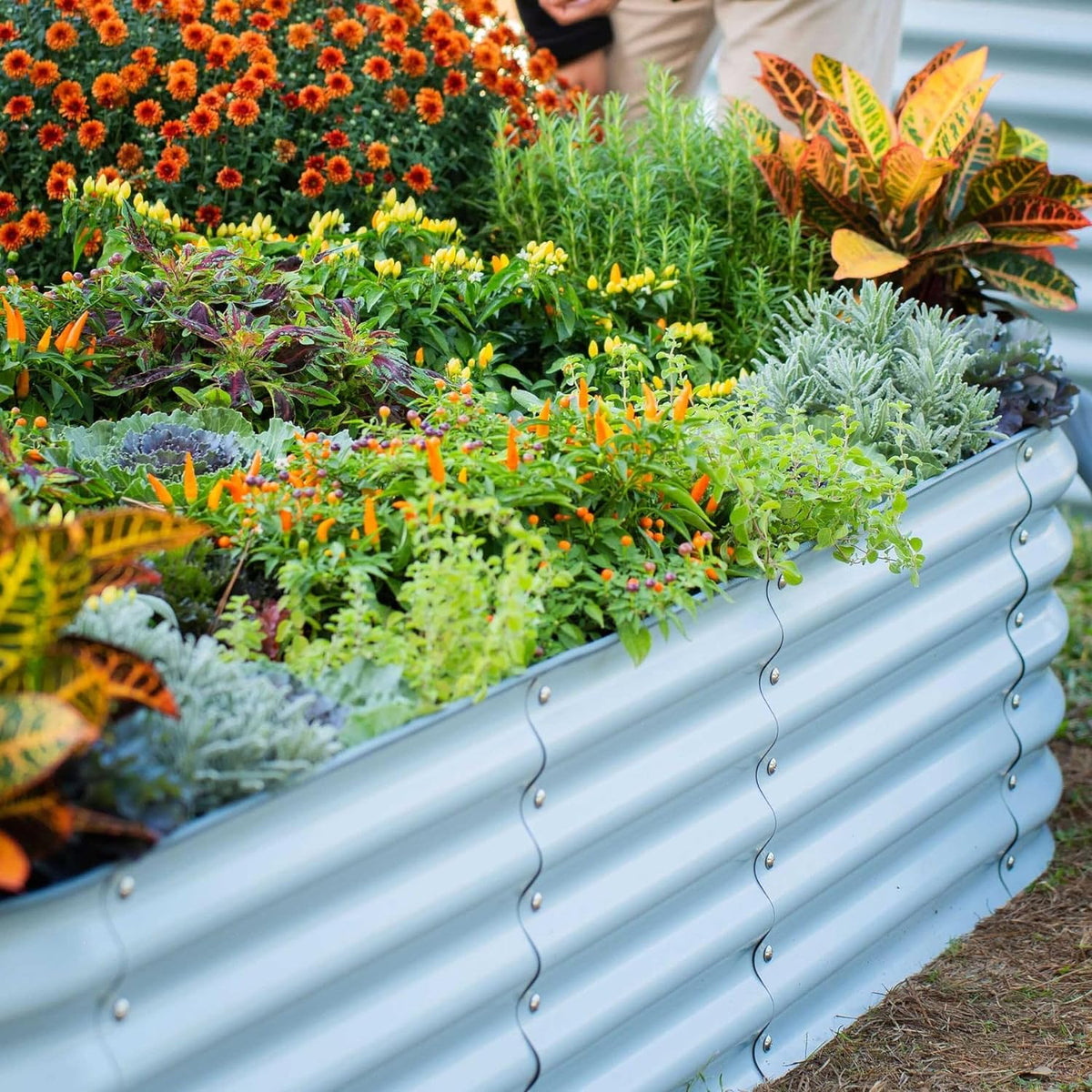 Garden Raised Garden Bed Kit, 11" Tall 10 in 1 Modular Raised Garden Beds Kit, Metal Planter Box for Vegetables, Flowers, Herbs, Morden Gray