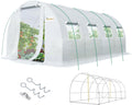 KING BIRD Premium 20x10x6.6FT Greenhouse for Outdoors  Large Walk-in Upgraded Galvanized Metal Frame  Mesh Door Screen Window Improved Zipper Tunnel Hoop for Garden Plant Winter  2 Stiffeners  White