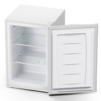 KNDKO 3.2Cu.ft Upright Freezer, Compact Freezer with Removable Shelves, Adjustable Thermostat for Home/Kitchen/Office, SILVER