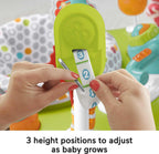 Fisher-Price Baby Bouncer Fitness Fun Folding Jumperoo Infant Activity Center with Lights &amp; Music. Unisex