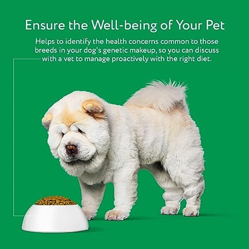 Dna My Dog Essential Test �?Breed ID Test Mixed Breed Identification Personality Traits for Puppies to Adult Dogs Non-Invasive Cheek Swab