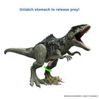 Jurassic World Dominion Super Colossal Giganotosaurus Figure, 14��� Tall, 3�� Long, Posable, Ages 4+