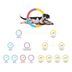 Embark Dog DNA Test, Breed Identification Kit