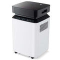 70-Pint Dehumidifier for Basement Home, 4,500 Sq.Ft Dehumidifier with Drain Hose, Pump, 2.2 Gal Water Tank, 24H Timer