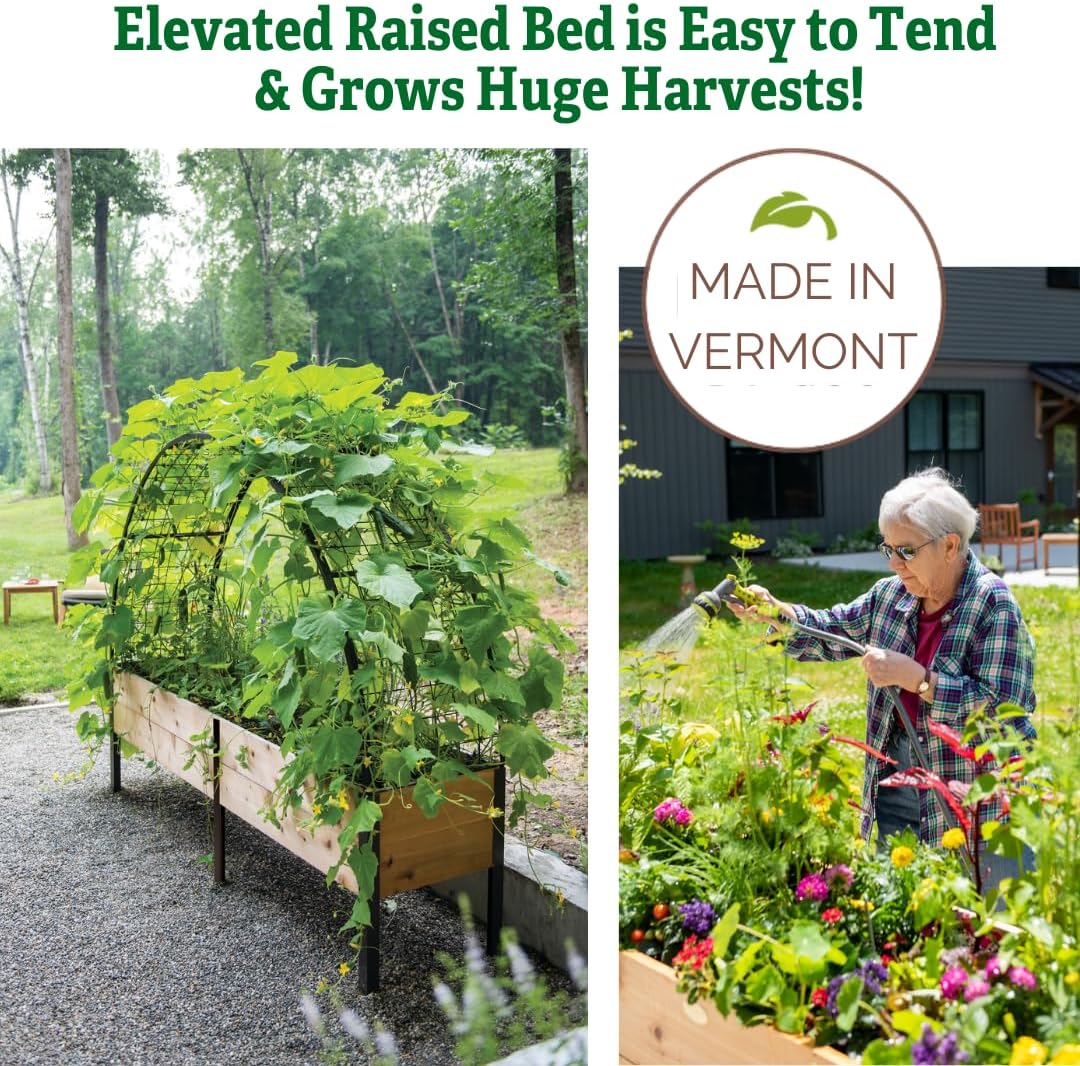 Gardener's Supply Company Elevated Cedar Raised Garden Bed | 2' x 8' Heavy Duty Standing Planter Box with Aluminum Corners for Outdoor Plants Vegetables Flowers | Perfect for Patio & Backyard