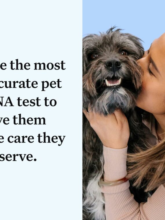 Wisdom Panel Essential Dog DNA Kit: Most Accurate Test for 365+ Breeds  30 Genetic Health Conditions  50+ Traits  Relatives  Ancestry �C 1 Pack