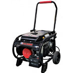 All Power 10000 Watt Dual Fuel Generator, Heavy Duty Portable Generator G10000EGL, /Propane