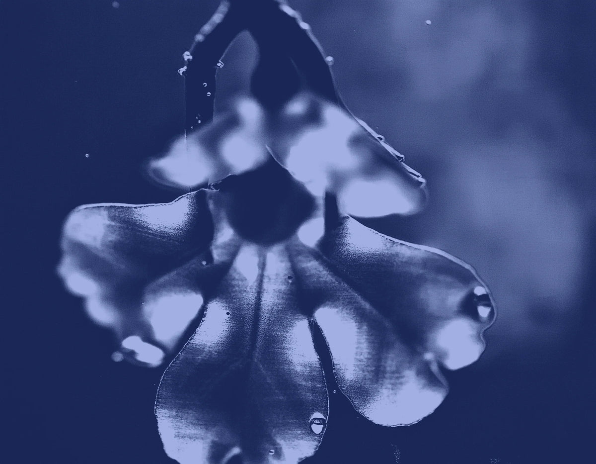 RESURRECTION Serum Slip Cleanser