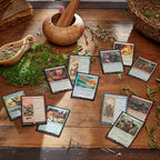 2025 Magic: The Gathering Bloomburrow Commander Deck Bundle – Includes All 4 Decks (Animated Army  Family Matters  Peace Offering  and Squirreled Away)