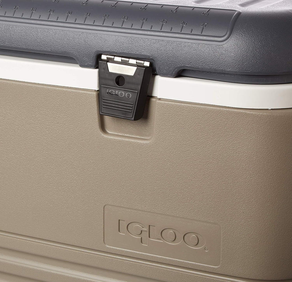 Polar Hard Coolers