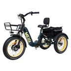 20 48V/14AH 750W Foldable Fat Tire Electric Trike, 330LBS