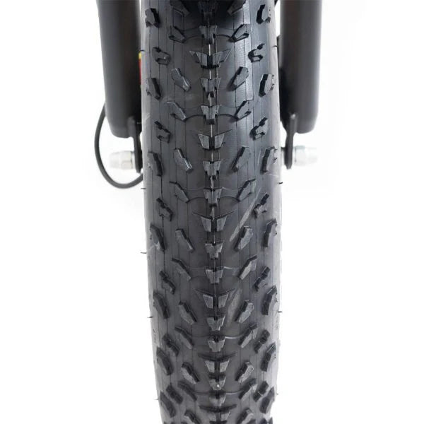 SILVERADO 20 48V/14AH 750W Foldable Fat Tire Electric Trike, 330LBS (96817362)