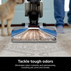 Shark CarpetXpert EX201 Carpet Cleaner, Cyan  C Deep Cleaning with StainStriker, Perfect for Pets, Includes Spot & Stain Remover Tools