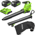 Greenworks 48V (24V x 2) Cordless Brushless Leaf Blower/Vacuum (520 CFM / 240 MPH) with Bag  Powerful & Efficient for Yard Debris Cleanup  Includes (2) 4.0Ah Battery & Dual Port Charger