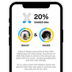 Embark Dog DNA Test, Breed Identification Kit