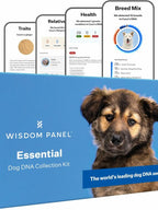 Wisdom Panel Essential Dog DNA Kit: Most Accurate Test for 365+ Breeds  30 Genetic Health Conditions  50+ Traits  Relatives  Ancestry �C 1 Pack