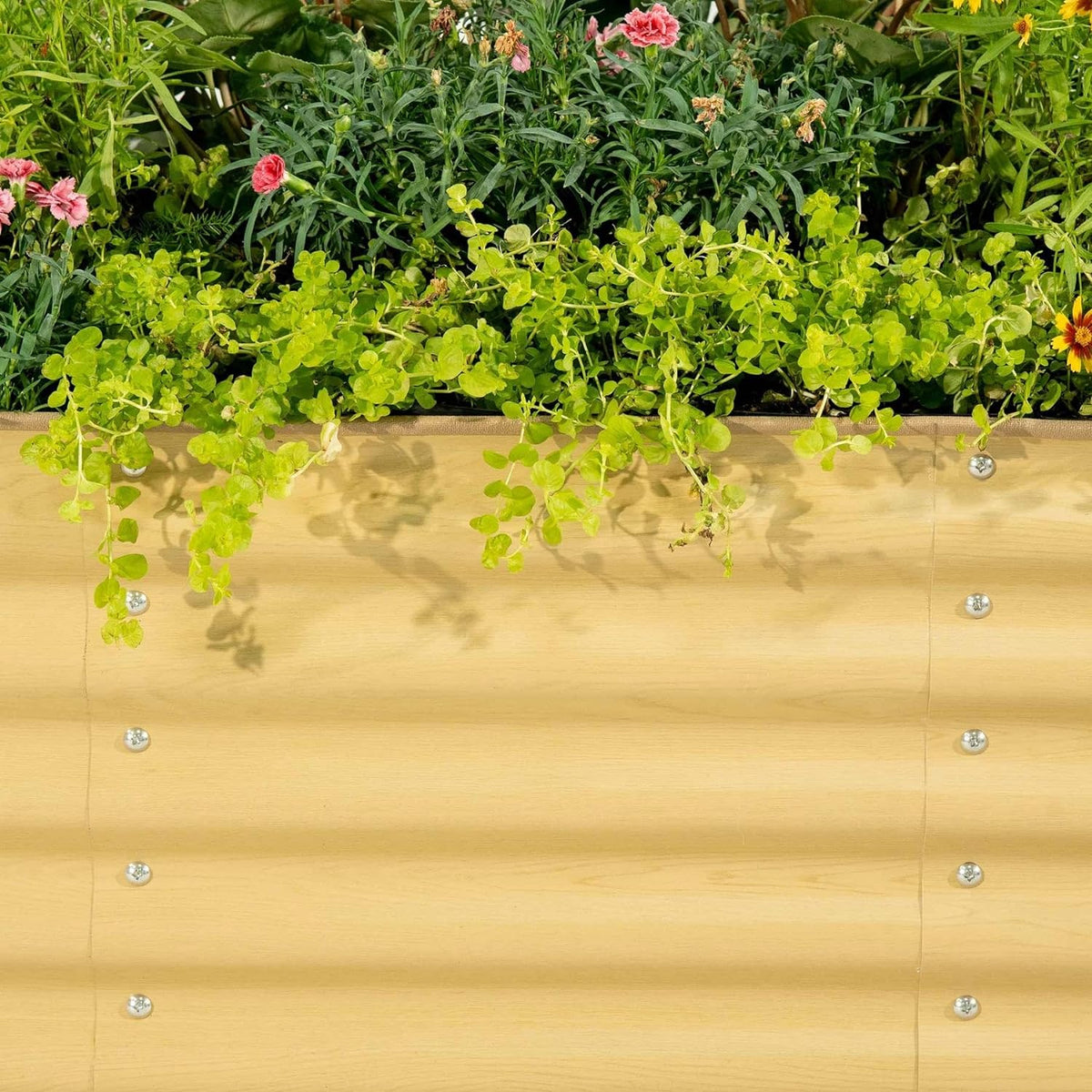 Garden Raised Garden Bed Kit, 11" Tall 10 in 1 Modular Raised Garden Beds Kit, Metal Planter Box for Vegetables, Flowers, Herbs, Morden Gray