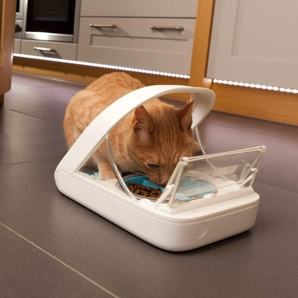 Automatic Pet Feeder -Microchip Pet Feeder – MPF001 – Suitable for Both Wet and Dry Food – Bonus eOutletDeals Pet Towel