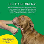 Dna My Dog Essential Test �?Breed ID Test Mixed Breed Identification Personality Traits for Puppies to Adult Dogs Non-Invasive Cheek Swab