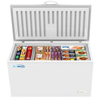 60 in. Commercial Chest Freezer 16 Cu ft.