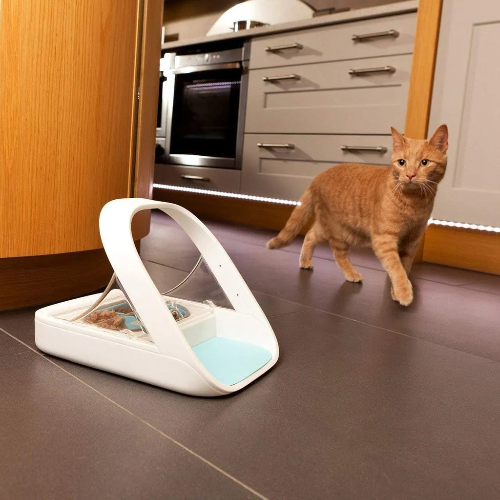 Automatic Pet Feeder -Microchip Pet Feeder - MPF001 - Suitable for Both Wet and Dry Food - Bonus eOutletDeals Pet Towel