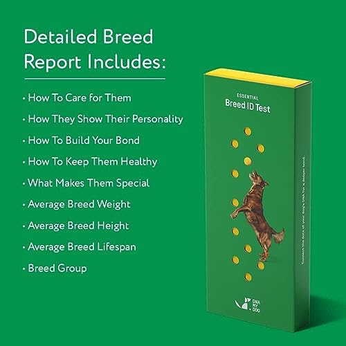 Dna My Dog Essential Test �?Breed ID Test Mixed Breed Identification Personality Traits for Puppies to Adult Dogs Non-Invasive Cheek Swab